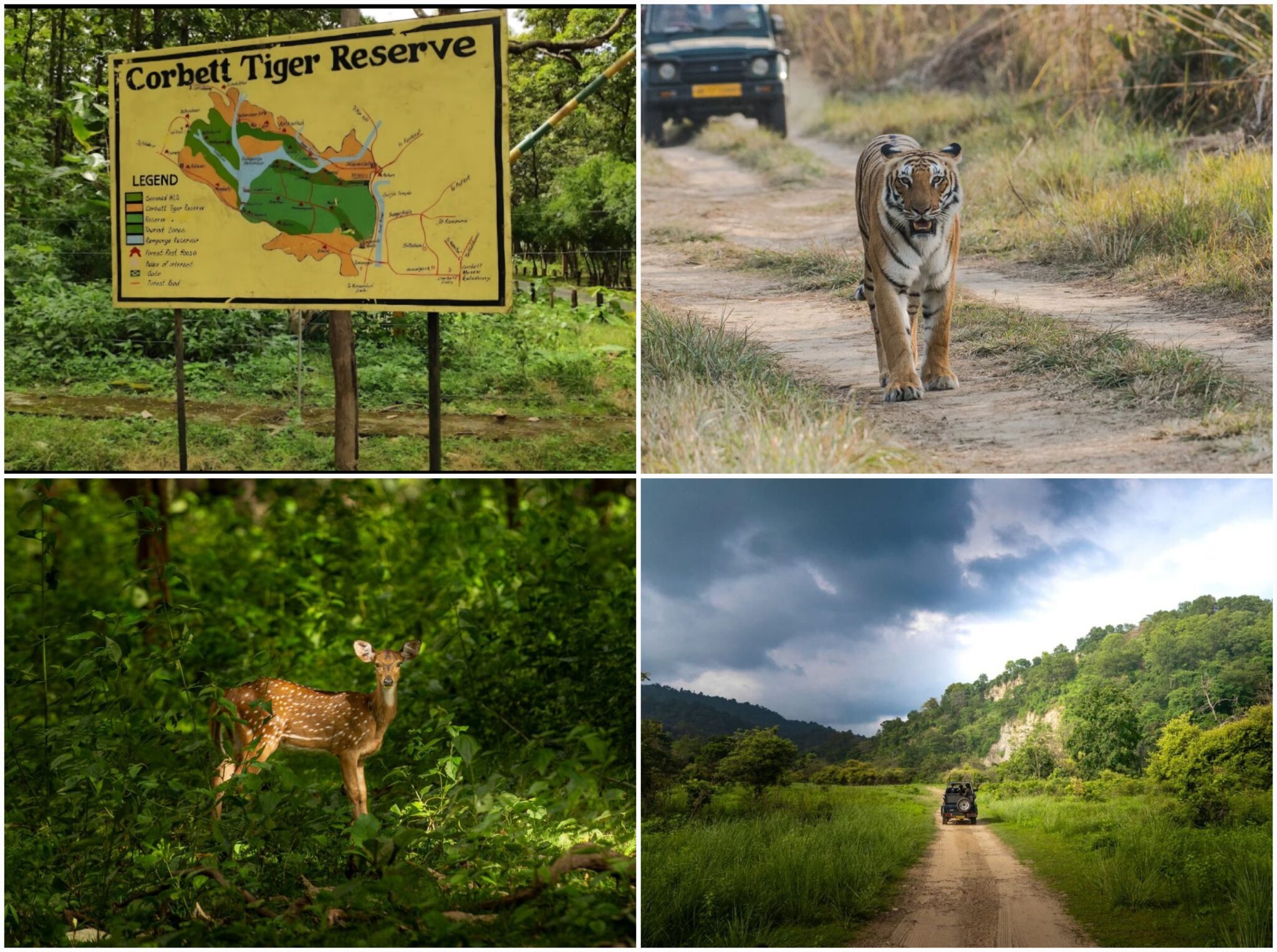 JIM CORBETT