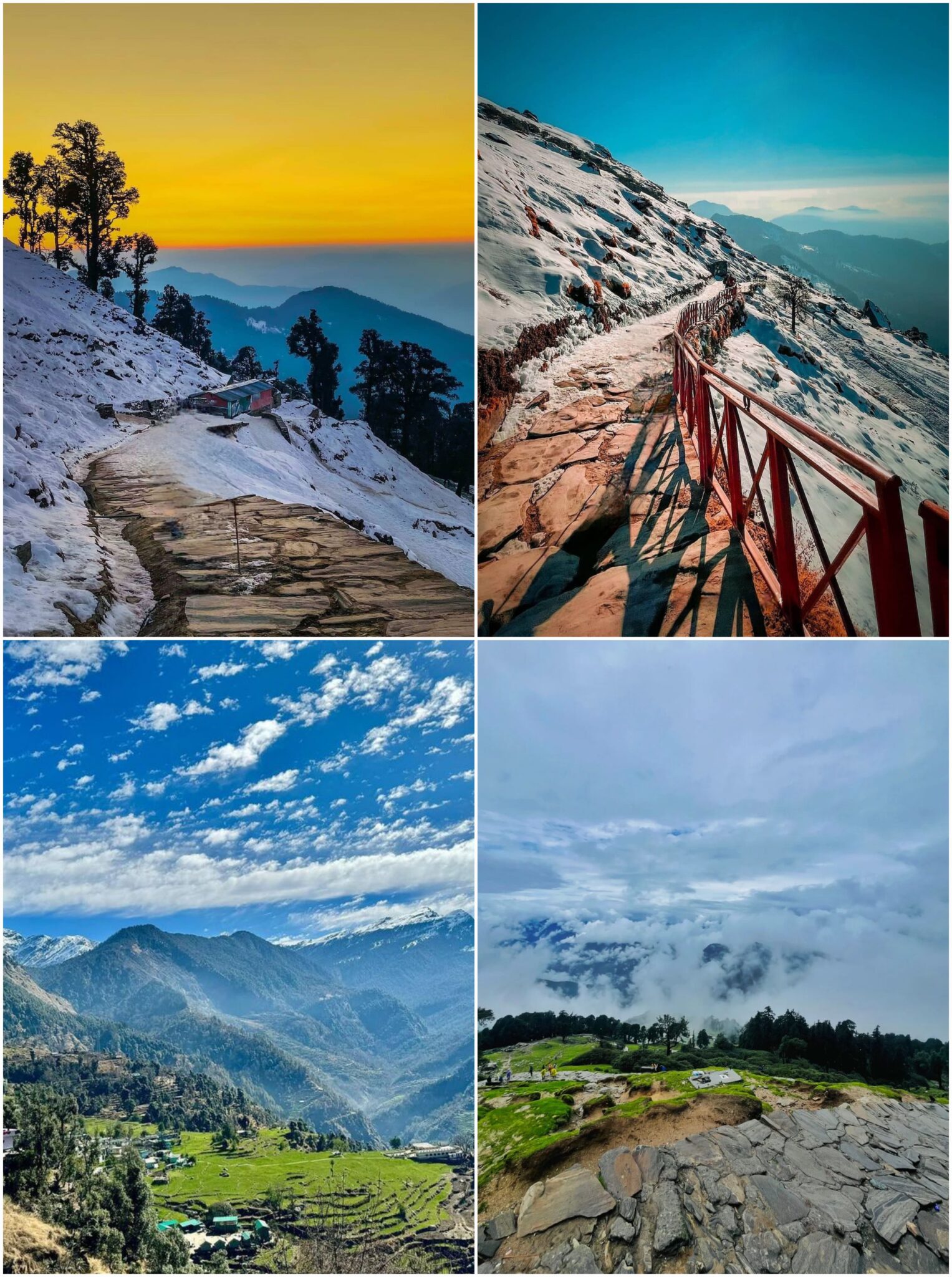 Tungnath and Chopta Photos